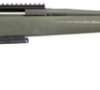 Ruger 26973 American Predator 6.5 Cr 22 3+1 Syn Moss Green