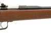 KSA Rogue Crickett Chipmunk .22 LR standard walnut