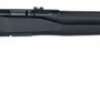 Savage 70801 B17 FV Bolt .17 HMR 21 10+1 Synthetic Black Stock