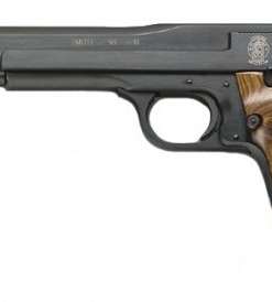 S&W M41 10+1 .22 LR 7"