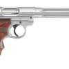 Ruger 40160 Mark IV Hunter .22 LR 10RD