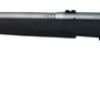 Savage BMAG .17 WSM Black HVY BBlack