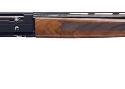 Mossberg SA20 20 GA 3" 26VR Walnut