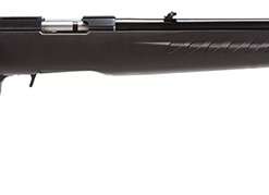 Ruger American .17 HMR