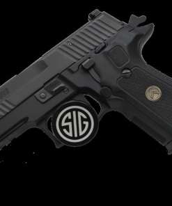 Sig Sauer LE P229 Legion | Black