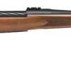 Mossberg PATRIOT 22 3006 Walnut