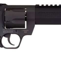 Taurus Raging Hunter .454 Casull