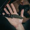 Fox Edge Atrax Folding Knife Green G-10 Handle